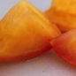 Tomate Skykomish (Samen)