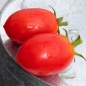 Tomate Soleil Rouge (Samen)