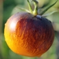 Tomate Stripes of Yore (Samen)