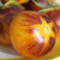 Tomate Stripes of Yore (Samen)