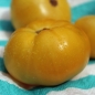 Tomate Summertime Gold (Samen)