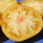 Tomate Summertime Gold (Samen)