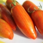 Tomate Sweet Casady (Samen)