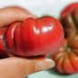 Tomate Tim's Black Ruffles (Samen)