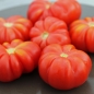 Tomate Treffle du Togo (Samen)