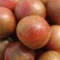 Tomate Violett Jasper (Samen)