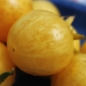 Tomate Yellow Vernissage (Samen)