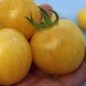 Tomate Yellow Vernissage (Samen)