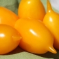 - Kopie - Kopie - Kopie - Kopie - Kopie - Kopie