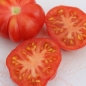 Tomate Treffle du Togo (Samen)