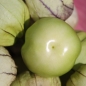Tomatillo Detsky Dzhem (Samen)