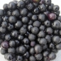 Wonderberry Mrs. B's Nonbitter (Samen)