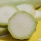 Neu! Zucchini Bianco di Sicilia (Samen)