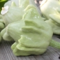 Zucchini Yugoslavian Finger Fruit (Samen)