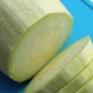 Zucchini Zloty Cepelin (Samen)