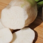 Zuckerrübe (Samen)