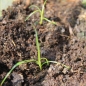 - Kopie - Kopie - Kopie - Kopie - Kopie - Kopie
